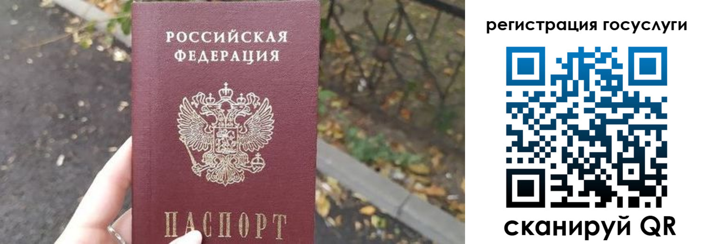 купить прописку в Мариинском Посаде